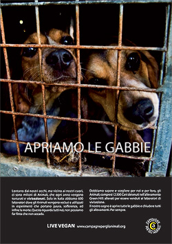 apriamo-le-gabbie.jpg